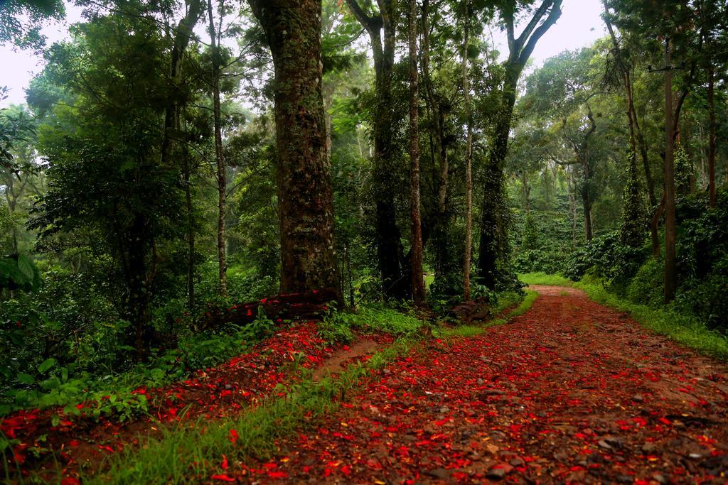 Old Kent Estates & Spa, Coorg Suntikoppa Exterior foto